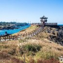 흙과나무의파도소리 이미지