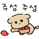 커몬댕댕 광주애견유치원&애견호텔 이미지