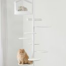 화이트펫# 이미지