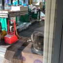 수펜라이드 | [샘골솔밭야영장]홍천 뷰맛집 캠핑장 추천 내돈내산 솔직후기
