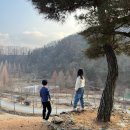 성불산자연휴양림 | 성불산자연휴양림 숲속의 집 독채임에도 주말 9만원 충북 괴산 최강의 가성비 숙소