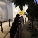 고인돌 박물관 이미지