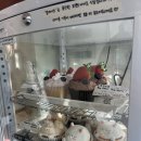베이지보보 | [대구 남산동] 베이지보보 예약방법 주차정보 메뉴추천 귀여운 쿠키와 컵케이크를 만날 수 있는 곳