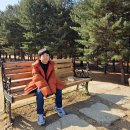 다운& | 디스커버리 키즈 남아 패딩 사이즈팁, 올리버 다운 점퍼 후기