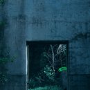 비밀정원 이미지