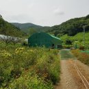 용암1농장 이미지