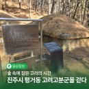 진주평거동고분군 | 숲 속에 잠든 고려의 시간, 진주시 평거동 고려고분군을 걷다| SNS 서포터즈