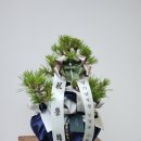 해송약국
