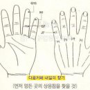 수지침 이미지