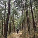 구례의길(지리산둘레길) | 3/24(화) 지리산둘레길 22코스 걷기 여행 후기