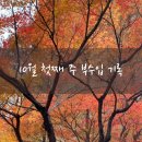 명인세탁소 | 10월 첫째 주 부수입 기록