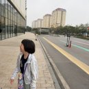 G8 | 베트남 사파여행 | 하노이에서 사파까지 G8 슬리핑 버스 탑승 후기