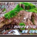 그루터기 이미지