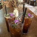 서해안리조트 | 충남 보령 한화리조트 대천 카페 리리스블루 방문 후기