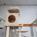 야옹아멍멍해봐 속초점 이미지