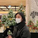 에이치씨푸드