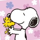 현스토어 이미지