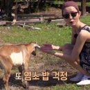 세컨페이스 안경 이미지