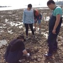 꽃지숙박 이미지