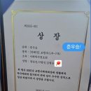 탁구 | 2025 보령시체육회장배 생활체육 탁구대회 후기!