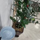 청정종합관리(주) | 이천 사무실 정기 청소업체 정직하고 깨끗하게 관리해드립니다