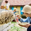 이&장 목장 이미지