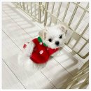 해수욕장10길 이미지