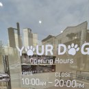 유얼도그 이미지