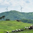 길은목장 이미지