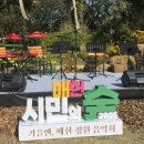 렌탈25 티스토리