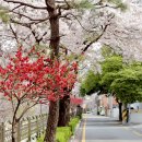 명륜역(온천장역 방면) 이미지