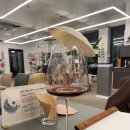 루나피에나 이미지