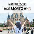 [도쿄 여행] 도쿄 디즈니랜드 🎡 어트랙션 퍼레이드 불꽃놀이 후기 도쿄 가볼만한곳