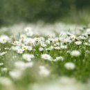 삼양검도관 이미지