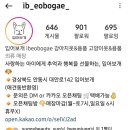 입어보개 이미지