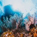 ㈜산호환경 이미지