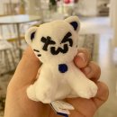 투냥 | 투냥이 뜨개망토 만들기와 일상 조금 😸