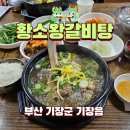 황소왕갈비탕 - 서구 | 기장읍 황소왕갈비탕 특왕갈비탕 후기 가성비 맛집이에요