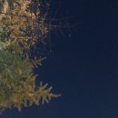 COCO모텔 이미지