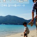 펠리시떼 이미지