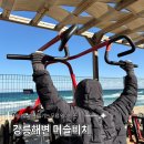 머슬 | 강릉 강문해변 머슬비치 후기 ㅣ 운영시간, 주차위치