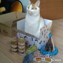 꼬맹이´S 네이버블로그