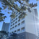 풍경호텔 | 강릉 하운드호텔 솔직후기 파노라마 풍경 굿👍