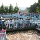 꿈나무 환경지킴이 이미지