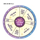 파파호두 이미지