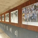 대전천변 공중화장실 이미지