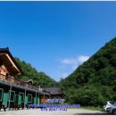 삼봉민박 이미지