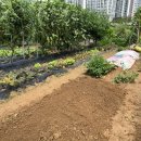 늘갓농장 이미지