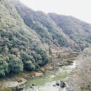 치쿠린 - 익산시 익산대로68길 35 | 치쿠린