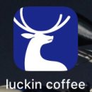 5월20일 루이신커피(Luckin coffee) CEO 루쩡야오 회장의 입장 발표 이미지